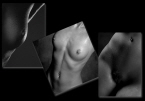 bodyscapes1